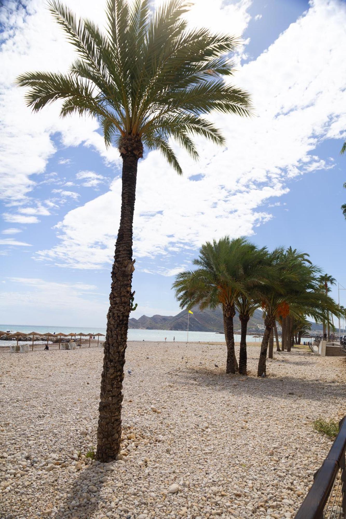 El Toro Apartments Altea Exterior photo